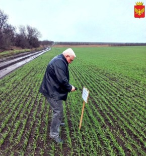 10 декабря специалисты отдела по вопросам агропромышленного комплекса и продовольственной политики администрации Приморского муниципального округа совместно с филиалом ФГБУ «Россельхозцентра» по Запорожской области провели...