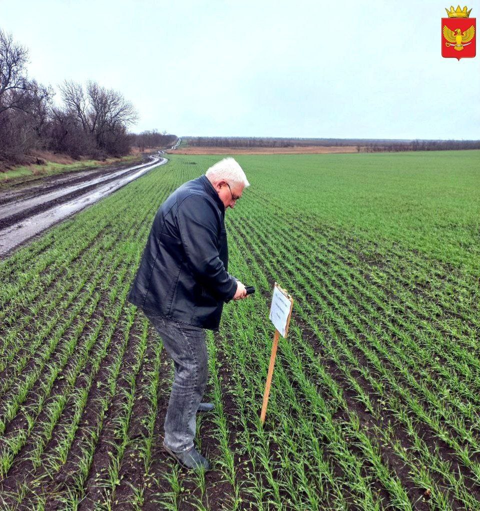 10 декабря специалисты отдела по вопросам агропромышленного комплекса и продовольственной политики администрации Приморского муниципального округа совместно с филиалом ФГБУ «Россельхозцентра» по Запорожской области провели...