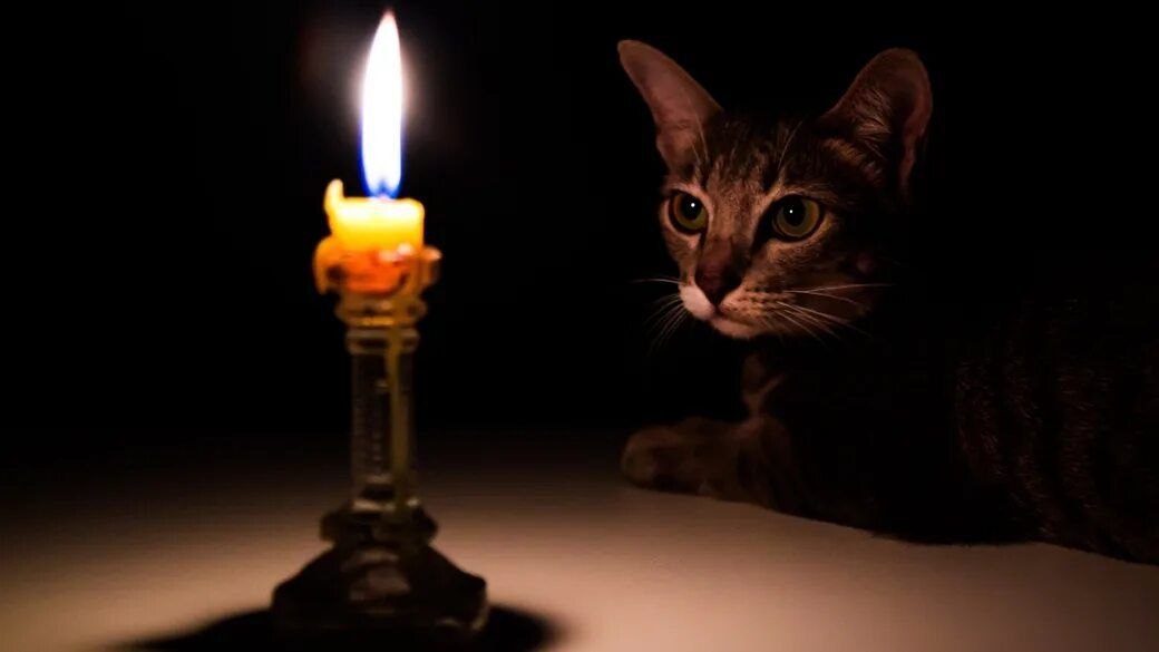 В Каменско-Днепровском муниципальном округе в результате атаки БПЛА противника без электроснабжения остались 1430 абонентов