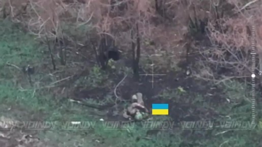 Удары дронами по брошенной в суицидальную контратаку украинской пехоты на Гуляйпольском направлении