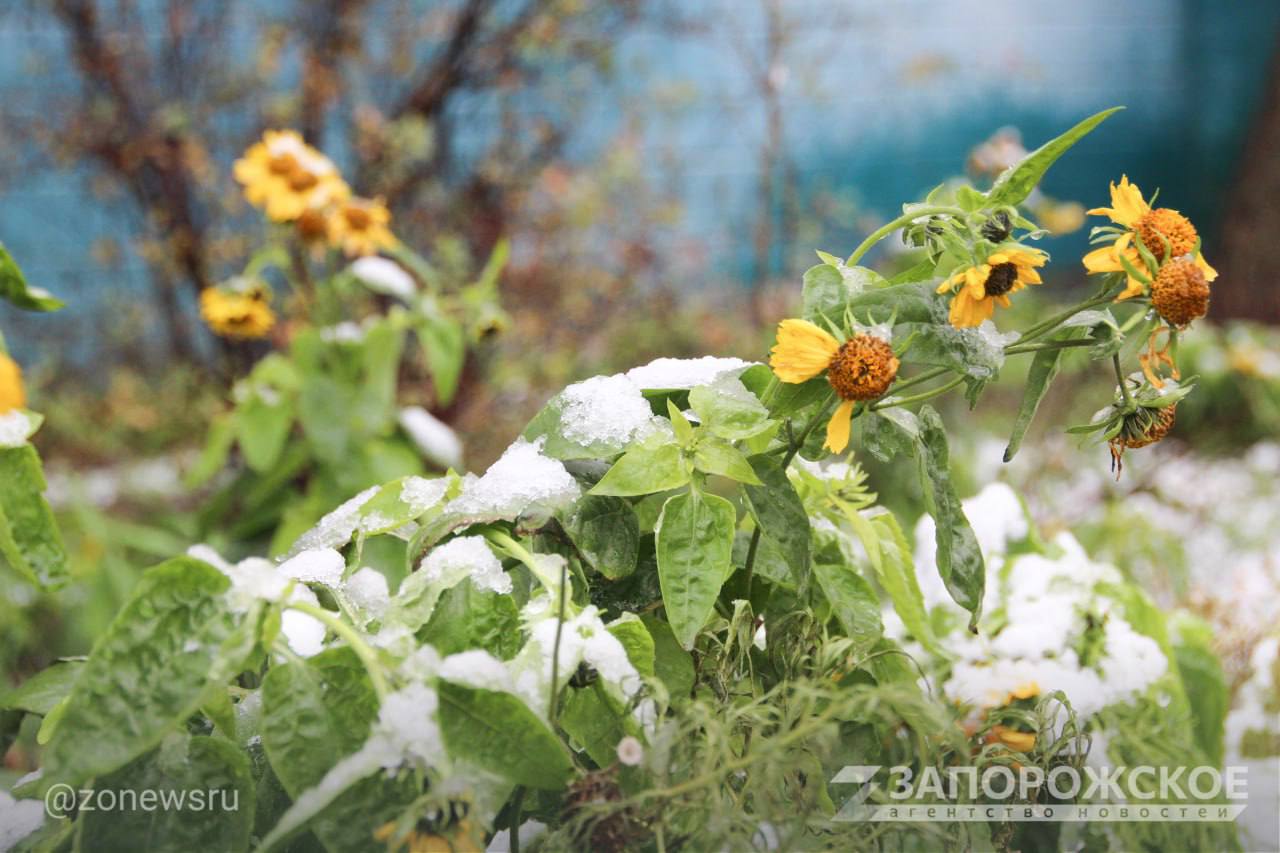 В Энергодаре выпал первый снег