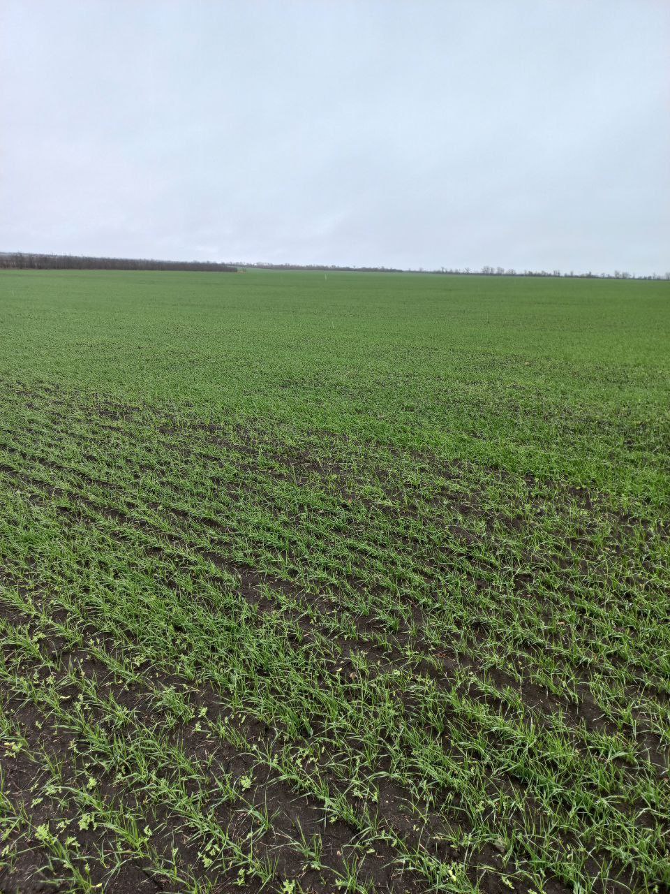 10 декабря специалисты отдела по вопросам агропромышленного комплекса и продовольственной политики администрации Приморского муниципального округа совместно с филиалом ФГБУ «Россельхозцентра» по Запорожской области провели... 10 декабря специалисты отдела по вопросам агропромышленного комплекса и продовольственной политики администрации Приморского муниципального округа совместно с филиалом ФГБУ «Россельхозцентра» по Запорожской области провели...