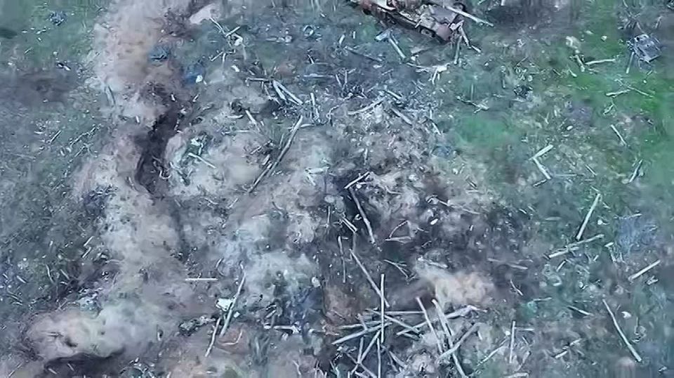 ������� ������: ���� ���������� � �������, �� ����������� �����������