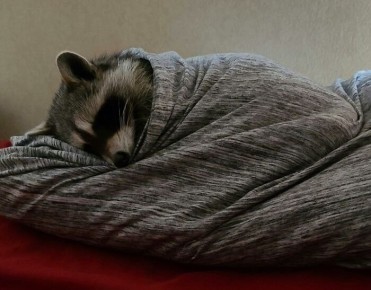 Доброй ночи, дорогие подписчики! Доброй ночи, Запорожье!