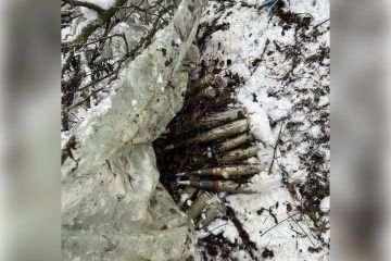 Оружейную заначку со снарядами и гранатами нашли в запорожском лесу