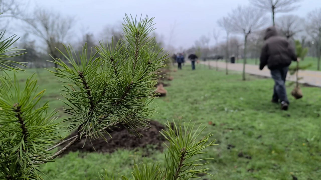 Александр Трудоношин: Приняли участие в очень хорошей международной акции «Сад Памяти» Александр Трудоношин: Приняли участие в очень хорошей международной акции «Сад Памяти»