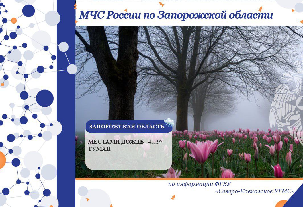 С 11 на 12 декабря на территории региона ожидается: