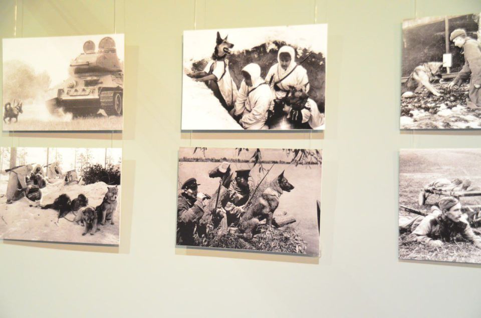 10 ������� � ���������� ��������� ������������ ��������: "��� ���� ������� ������"