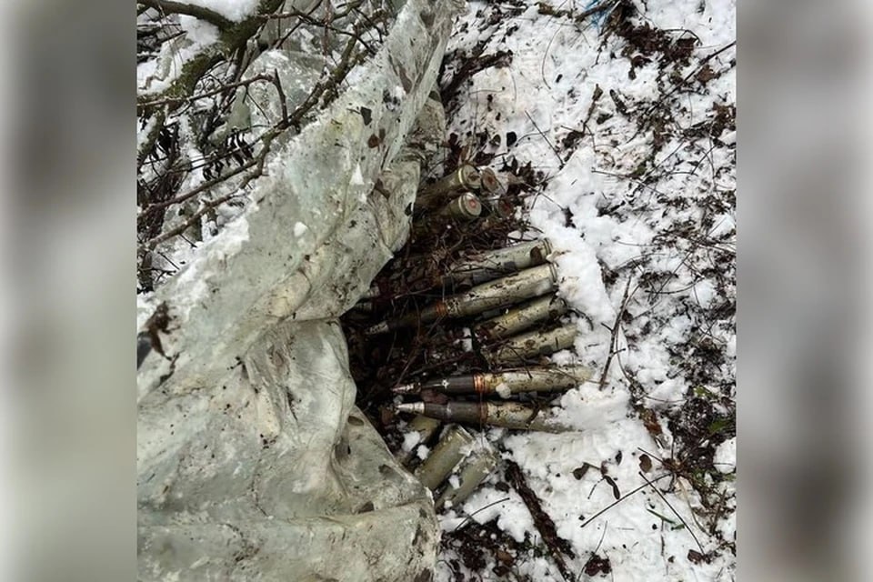 Оружейную заначку со снарядами и гранатами нашли в запорожском лесу
