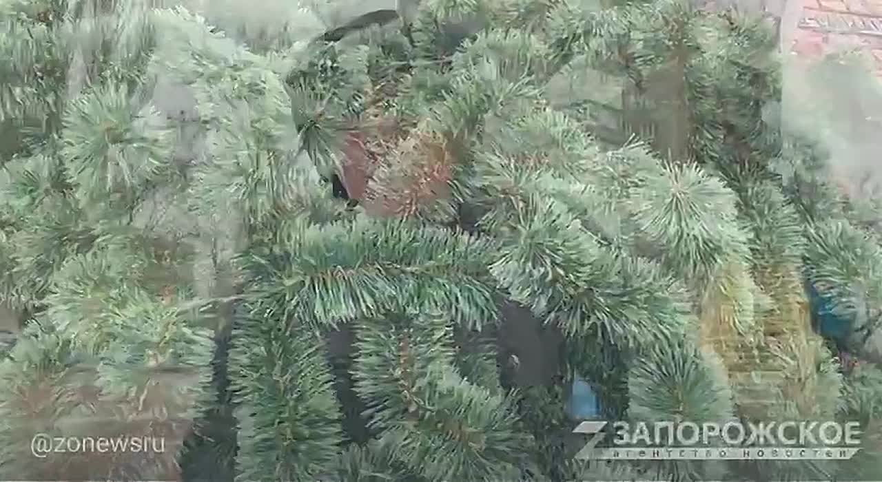 На центральной площади Мелитополя начали устанавливать новогоднюю ёлку