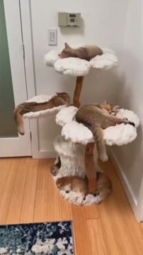 Отдыхаем после работы. А как вы расслабляетесь в конце дня? Подписывайтесь на Запорожский вестник в MAX, Telegram и ВКонтакте и делитесь с близкими