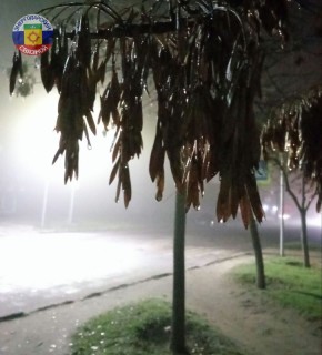 С добрым утром четверга.. Желаем Вам ни капельки грусти, а только радости, счастья и позитивных эмоций