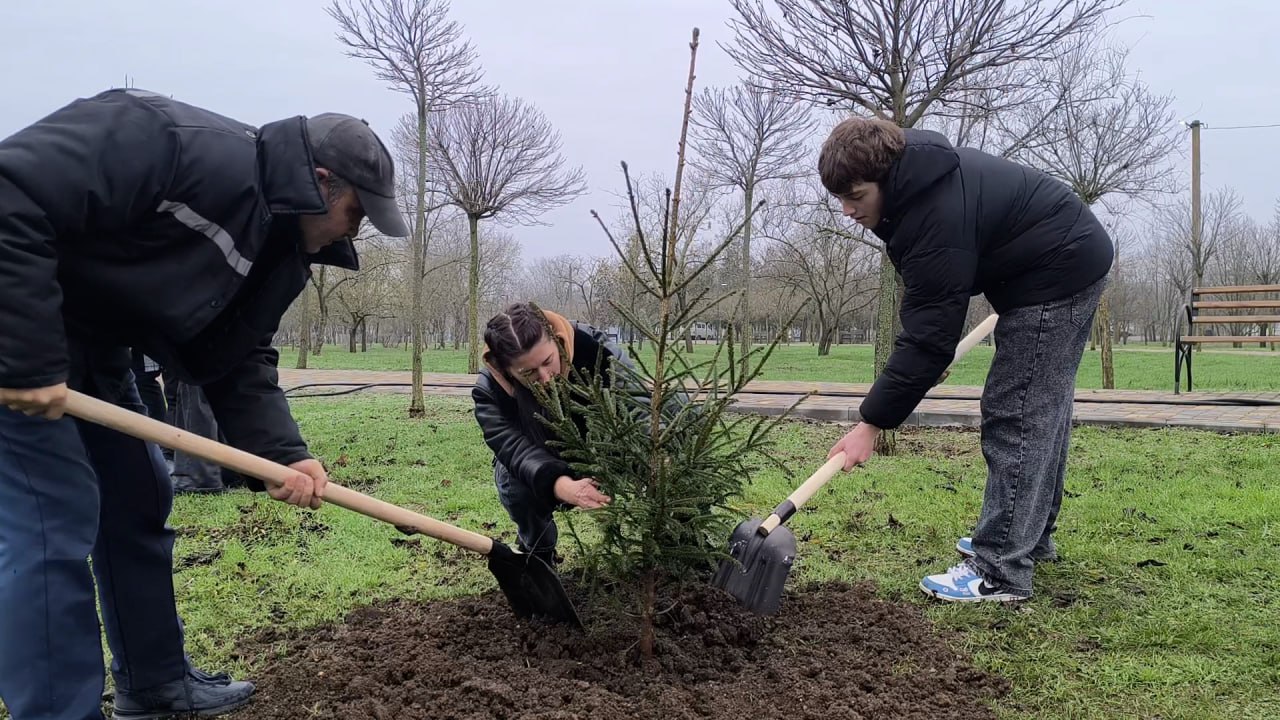 Александр Трудоношин: Приняли участие в очень хорошей международной акции «Сад Памяти» Александр Трудоношин: Приняли участие в очень хорошей международной акции «Сад Памяти»