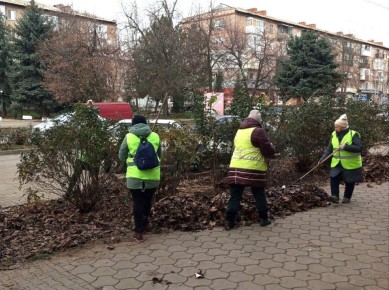 В Токмаке коммунальщики приступили к предновогодней уборке города