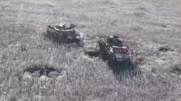 Работино и его многострадальные окрестности