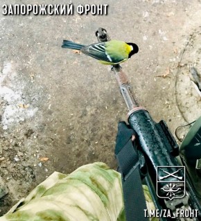 Всем бодрого утра с Запорожского направления