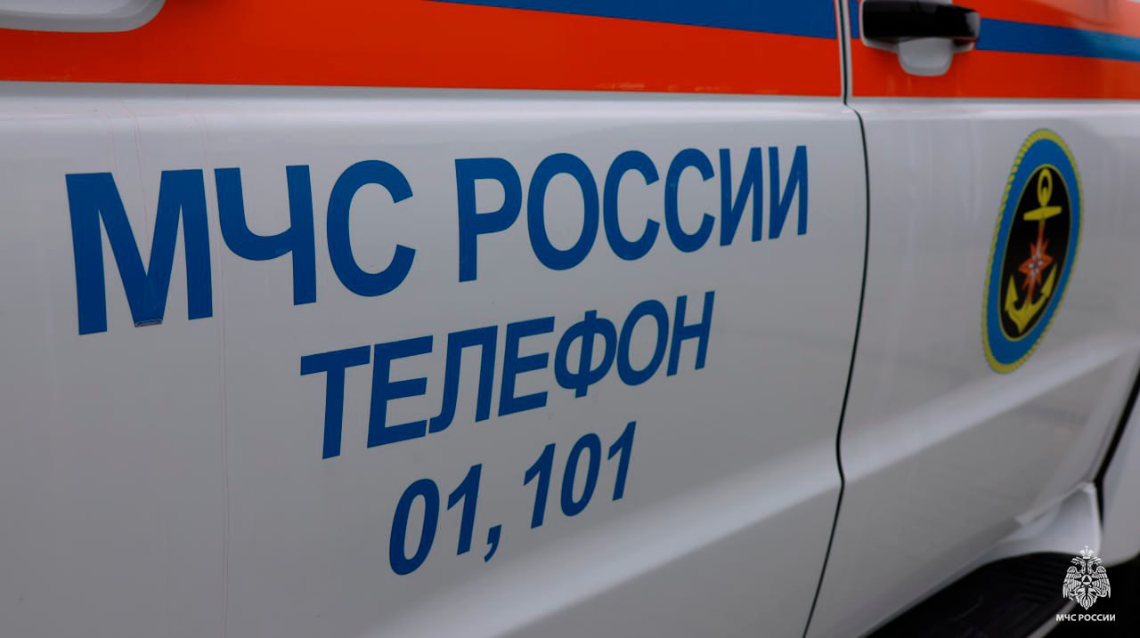 Оперативная информация за сутки