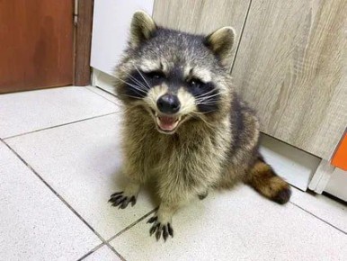 Доброе утро, друзья! Хорошего вам дня и отличного настроения!