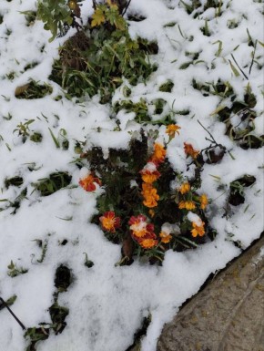 Утро — рождение нового дня, начало маленькой главы жизни