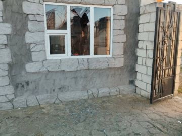 Лев пострадал в результате атаки двух украинских беспилотников на Васильевский зоопарк