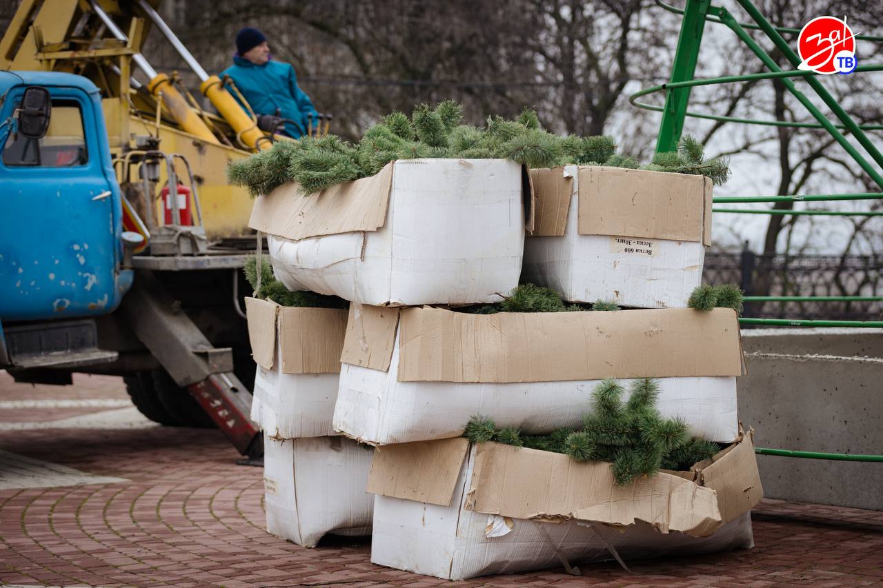На площади Победы устанавливают главную новогоднюю ёлку Мелитополя На площади Победы устанавливают главную новогоднюю ёлку Мелитополя