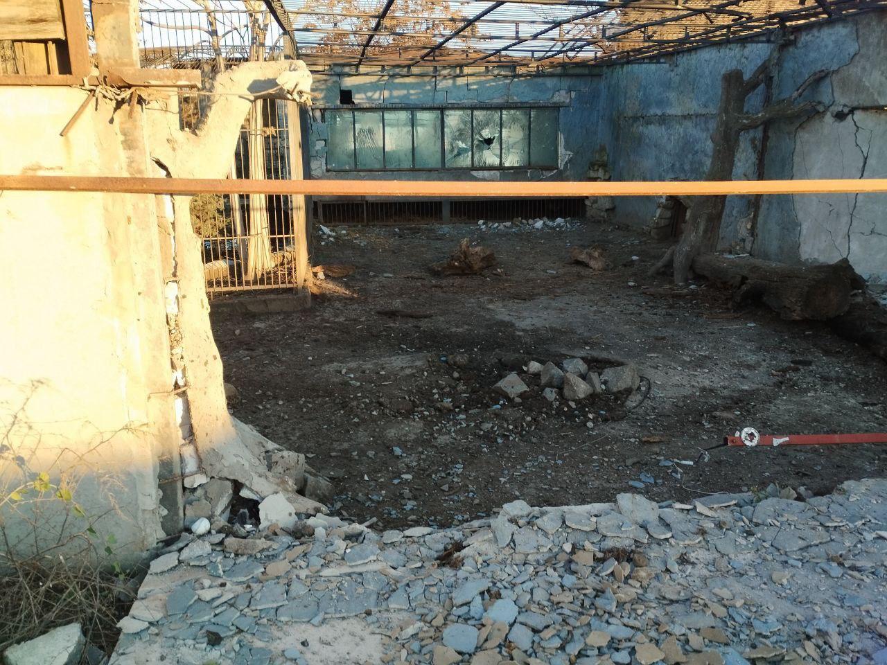 Лев пострадал в результате атаки двух украинских беспилотников на Васильевский зоопарк Лев пострадал в результате атаки двух украинских беспилотников на Васильевский зоопарк