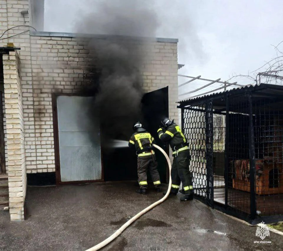 В Запорожской области произошло два пожара, в ДТП погиб человек 13 декабря