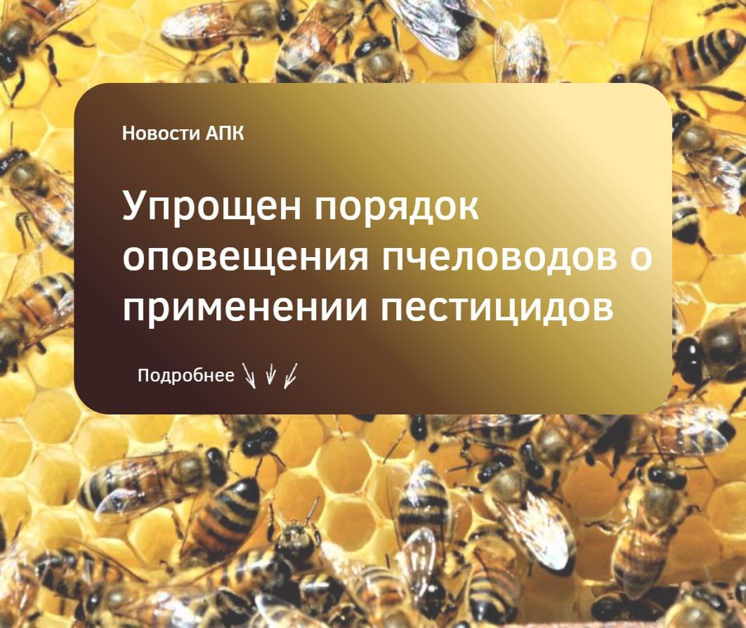 Упрощён порядок оповещения пчеловодов о применении пестицидов