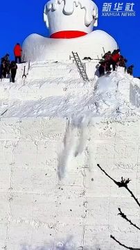 � ����� ������� ��������� ������� 23,8 �����