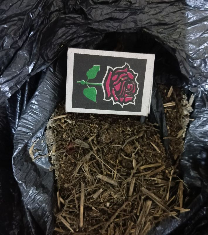 ���������� ������� ������ ����������� �������� � ������ ��������������� ������