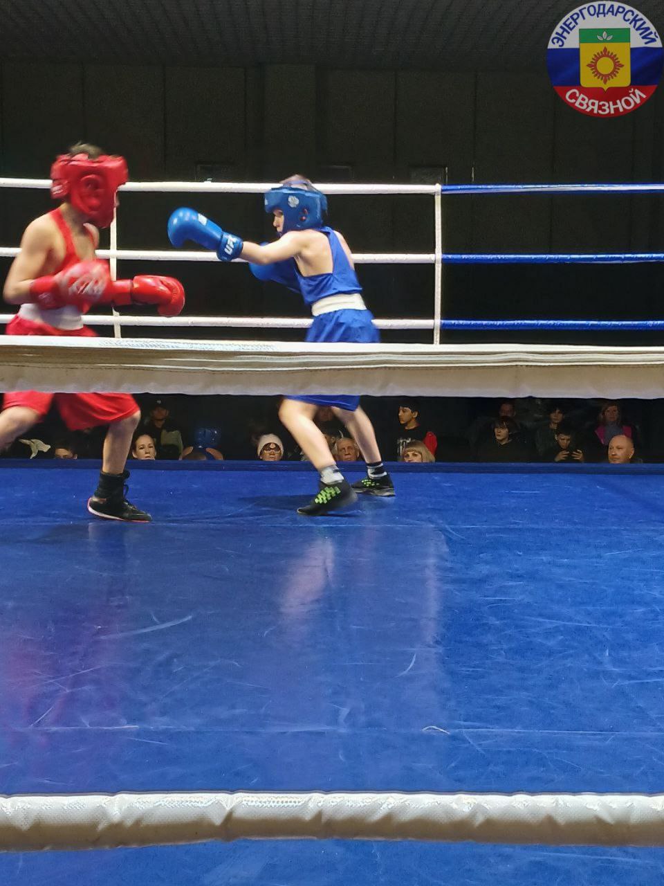 13 декабря в МКУ «ФОЦ «Школе бокса им. В.Р. Манзули» прошло Открытое Первенство «Кубок города Энергодара по боксу, посвящённый Дню Конституции Российской Федерации 2025 года» 13 декабря в МКУ «ФОЦ «Школе бокса им. В.Р. Манзули» прошло Открытое Первенство «Кубок города Энергодара по боксу, посвящённый Дню Конституции Российской Федерации 2025 года»
