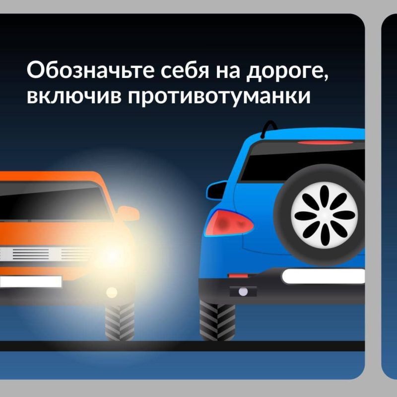 ���������������� ����������� ������� ����������