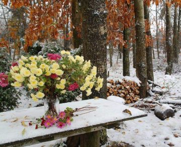 Доброе утро. А вы знали, что сегодня