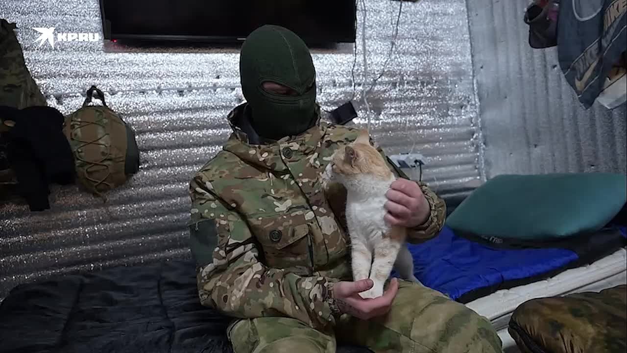 Кот Рыжик прописался в батальоне у бойцов на Запорожье