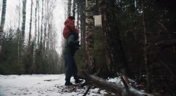 � 2025 ���� ������ ���������� ������ �������� � ���������� � ��� �������� ���������� ��������� � 80-����� ������