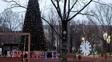 Парк «Юбилейный» в Приморске украсили к Новому году