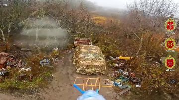 ������ ���� 41 ��� 44 ���������� ������� ��������� � ��������� ���������� ���, ��������������� ���������