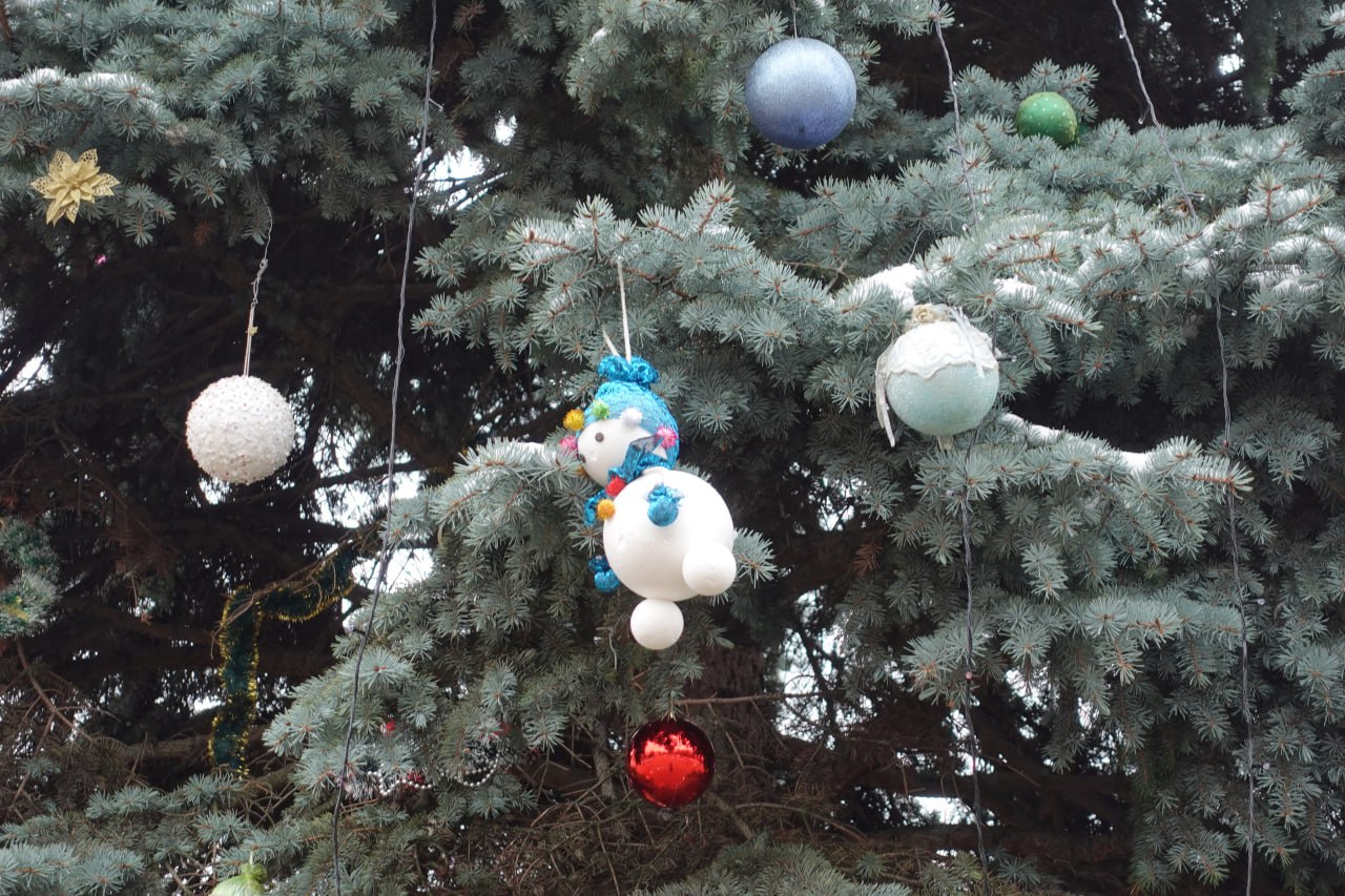 В Токмаке коммунальщики начали украшать главную новогоднюю елку города В Токмаке коммунальщики начали украшать главную новогоднюю елку города