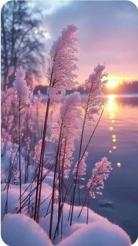 ��������� ��� ����!