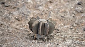 Девочку, раненую в Каменке-Днепровской, отправят на лечение в Крым