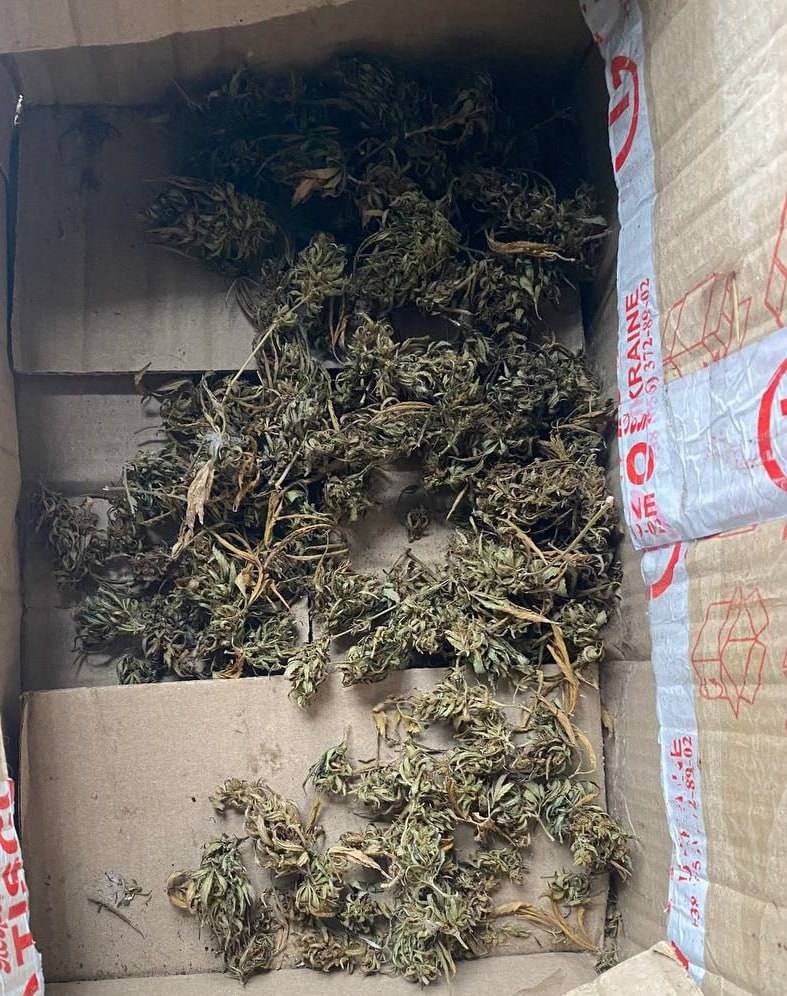 В отношении жителя Мелитопольского района возбуждено уголовное дело за хранение наркотических средств В отношении жителя Мелитопольского района возбуждено уголовное дело за хранение наркотических средств