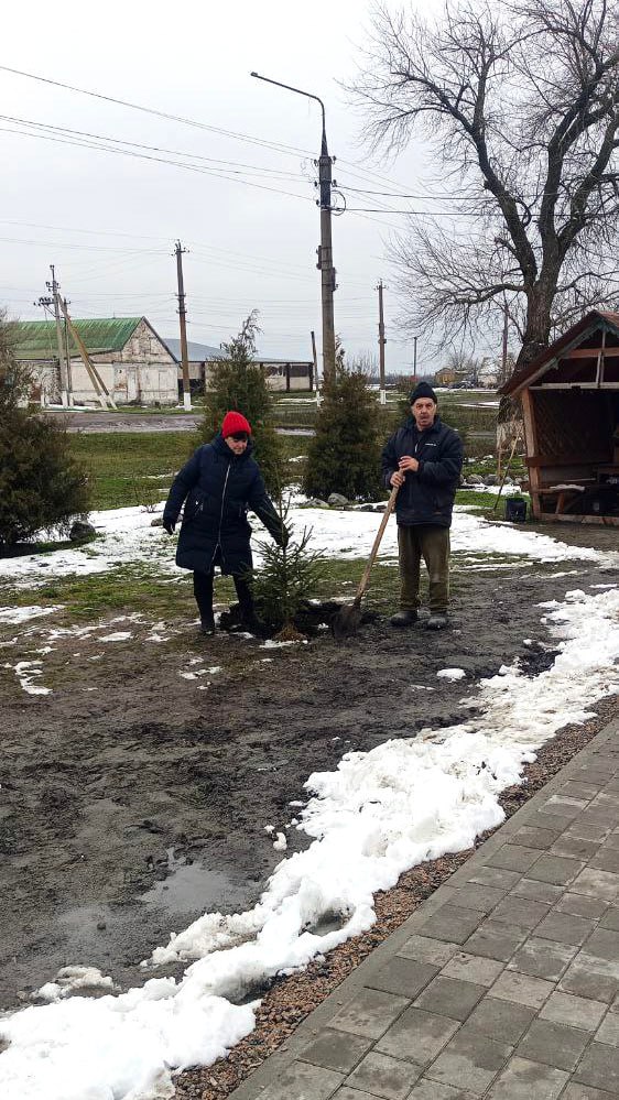 В селе Тракторном провели акцию «Сад Памяти» В селе Тракторном провели акцию «Сад Памяти»