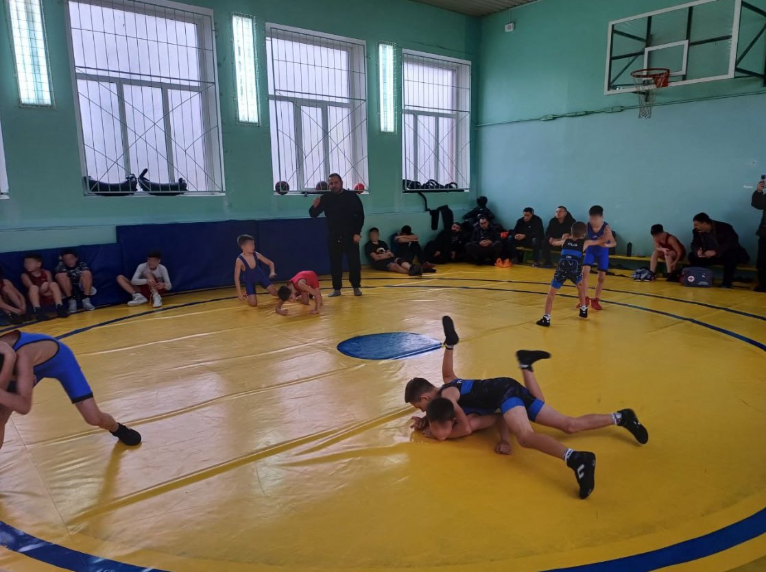 Открытая тренировка по вольной борьбе Открытая тренировка по вольной борьбе