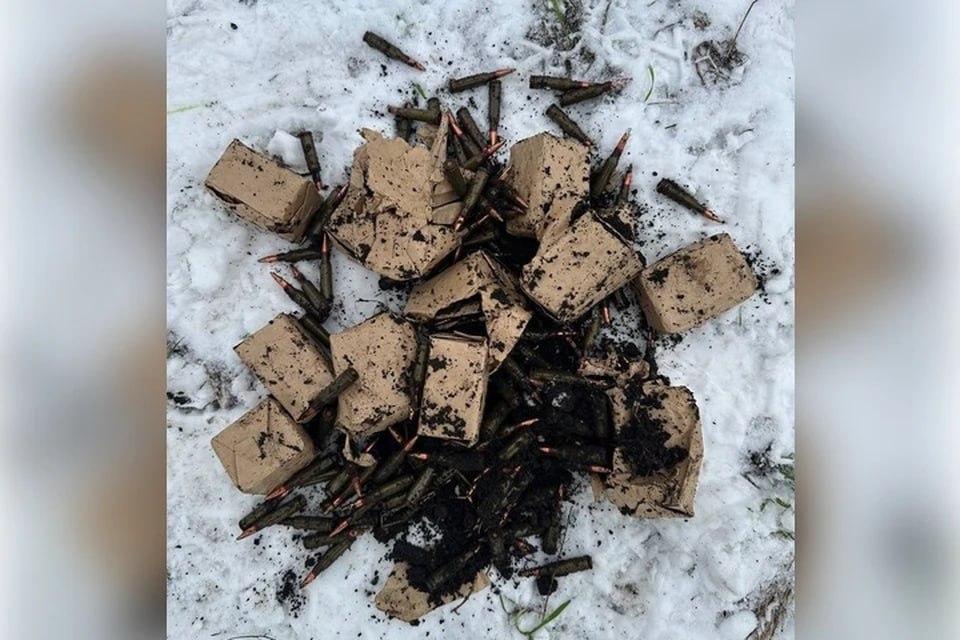 В запорожском лесу нашли тайник с тремя сотнями патронов к автомату Калашникова