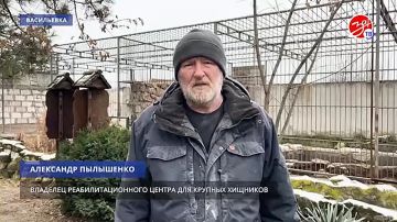 Центру реабилитации для крупных хищников в Васильевке оказывается всесторонняя поддержка