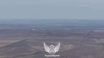 ��������� ������ ������������� "���������" �� �������������� � ����������� � �������� ���������� ���������� ������� ���������� �� ����������� �����������