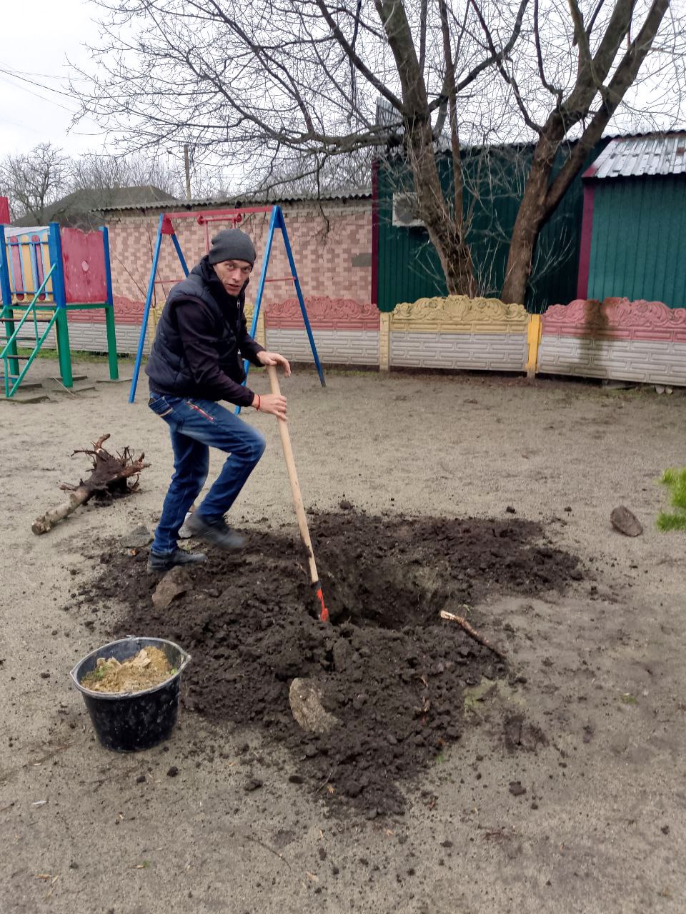 В центральном парке села Тимошевка высажены деревья в рамках акции «Сад памяти»