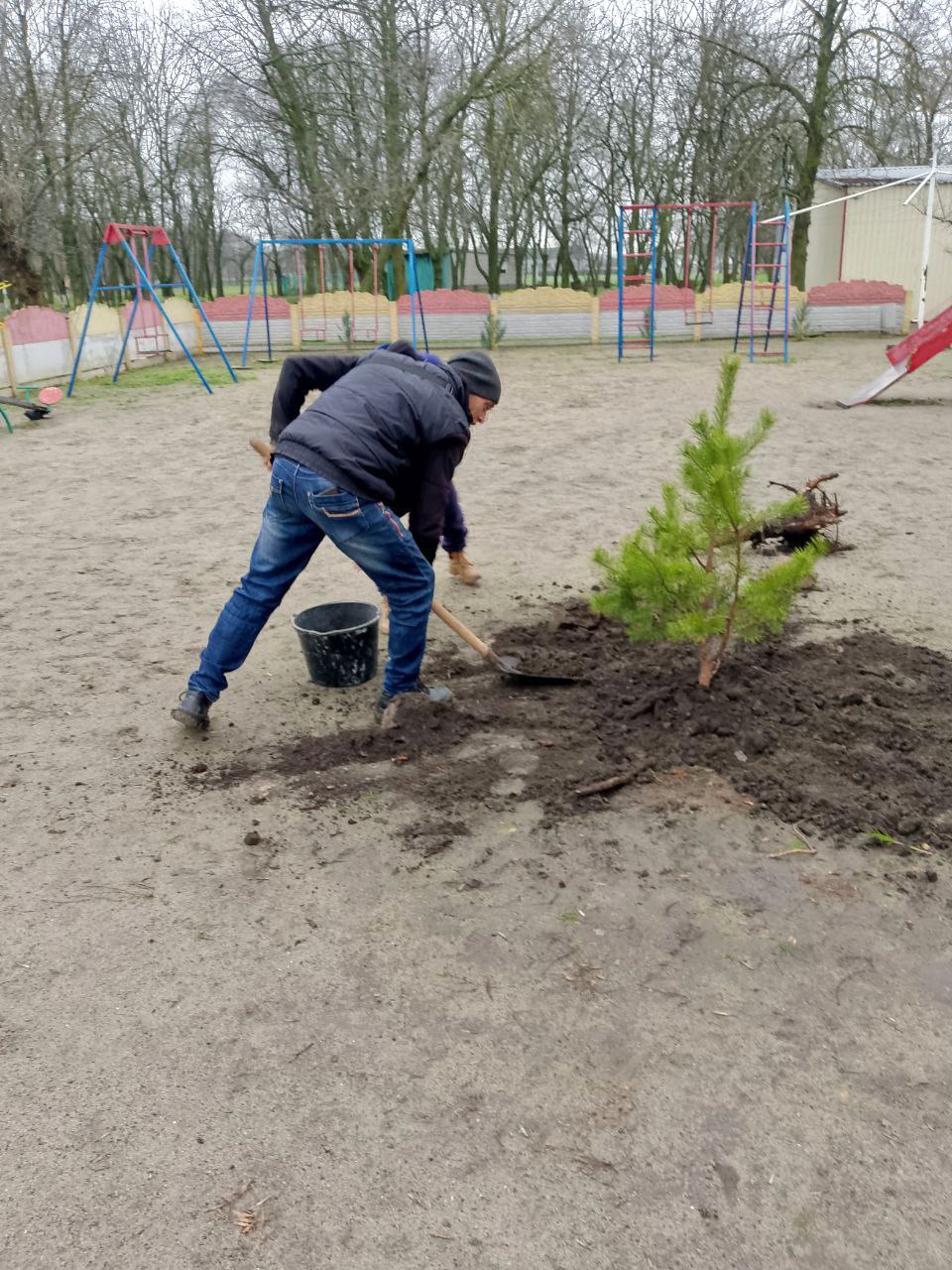 В центральном парке села Тимошевка высажены деревья в рамках акции «Сад памяти» В центральном парке села Тимошевка высажены деревья в рамках акции «Сад памяти»