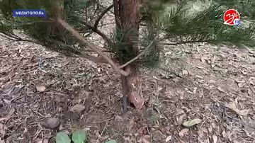 � ���������� ��������� ������� ������