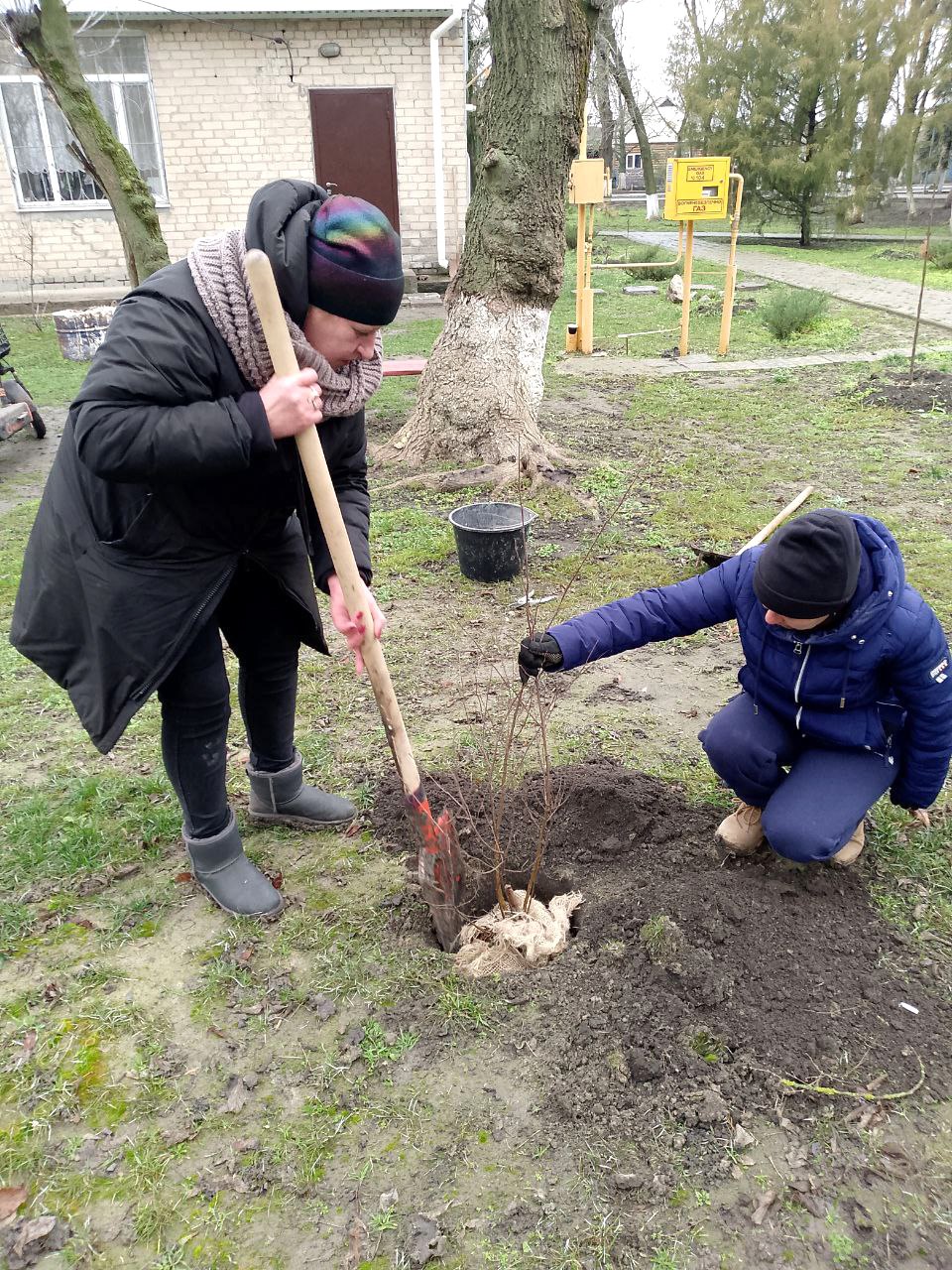 В центральном парке села Тимошевка высажены деревья в рамках акции «Сад памяти» В центральном парке села Тимошевка высажены деревья в рамках акции «Сад памяти»